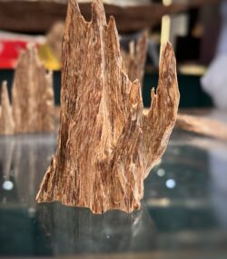 Agar for Office - Image 5